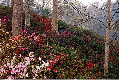 《三国志8重制版》2月更新内容预览 上线时间待定